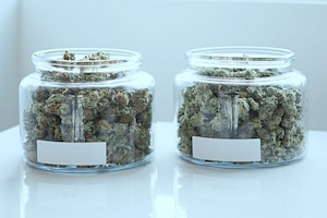 Michigan Cannabis Licensing
